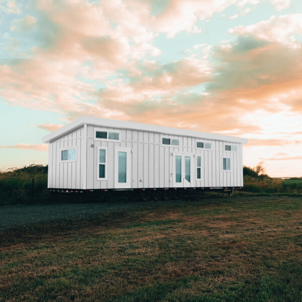 Mint Orca Park Model Tiny Home for Sale and available for immediate delivery